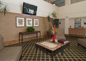H I Express & Suites San Antonio Medical-Six Flags מראה חיצוני תמונה
